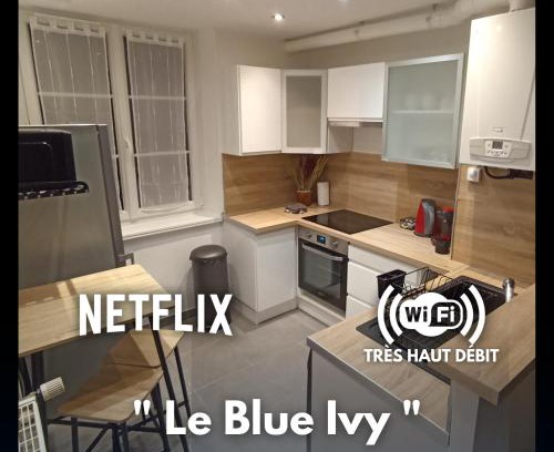 Le Creusot Apartamento | Le Blue IVY Hyper centre 2 chambres Tout équipe