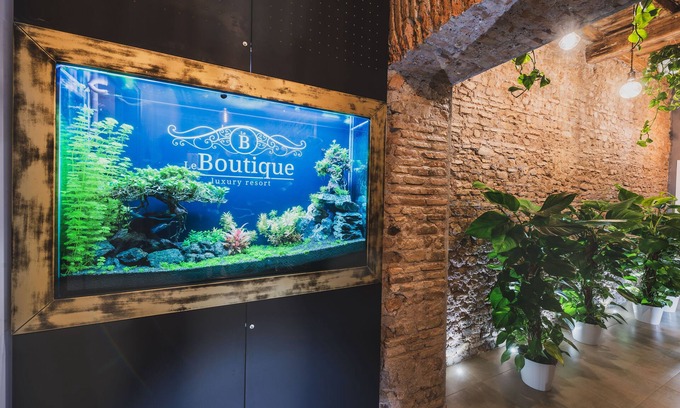 Fiumicino Casa | Le Boutique Luxury Rooms