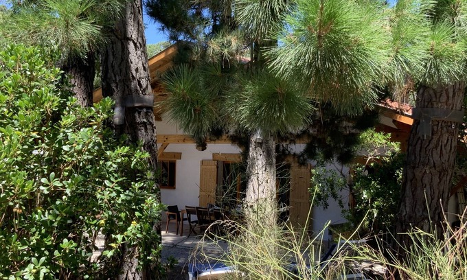 Piraillan Villa | Le Cap Ferret entre Bassin et Océan Villa 4 dormitorios