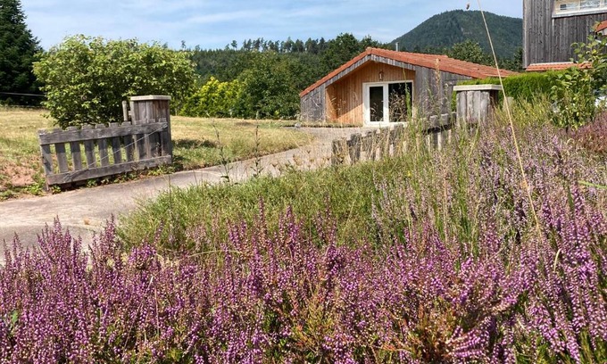 Saulcy-sur-Meurthe Chalet De Esquí | Le Chalet dans la Nature