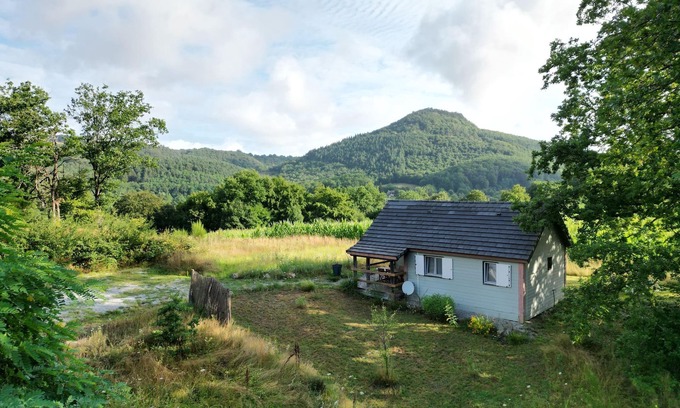 Bassignac Chalet De Esquí | Le Chalet de Lilie, gîte à la ferme. Cadre calme et verdoyant. Animaux acceptés