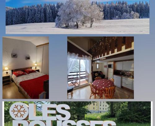 Les Rousses Apartamento | LE CHALET DES SAPINS, Superbe Duplex avec belle vue, Au Coeur Des Rousses, Tout confort 5 pers, Draps inclus, parking gratuit