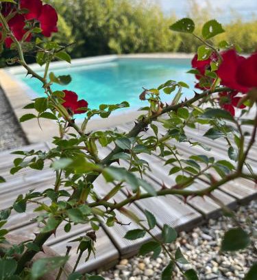 Villemoustaussou Cama Y Desayuno | Le chant des cigales