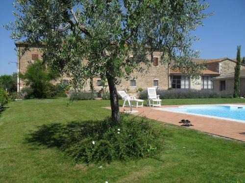 Gallina Casa | Le Checche