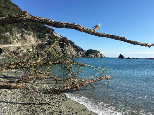 Borgo Antico Apartamento | LE CINQUE VELE * Cinque Terre
