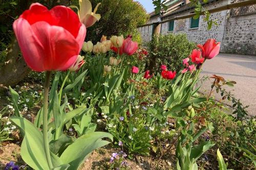 Giverny Apartamento | Le Clos de l'Eglise - Blanche