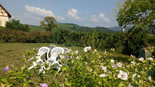 Blienschwiller Apartamento | Le clos des vignes