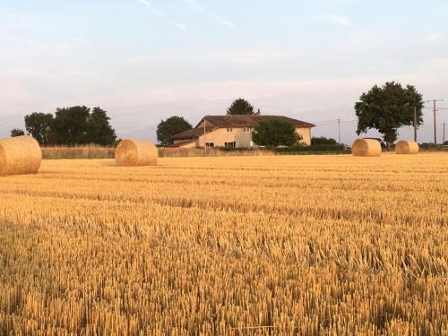 Saint-Trivier-sur-Moignans Casa | Le clos du chêne - Chambres dans maison Bressane à Saint Trivier sur Moignans