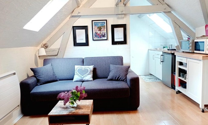 Ay Apartamento | Le Cocon appartement proche Epernay et Maisons de Champagne