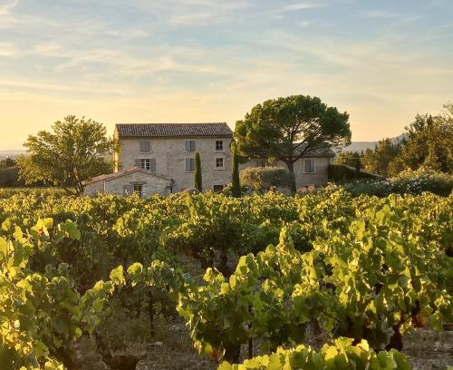 Saint-Didier Casa | Le Cottage du Chat Blanc