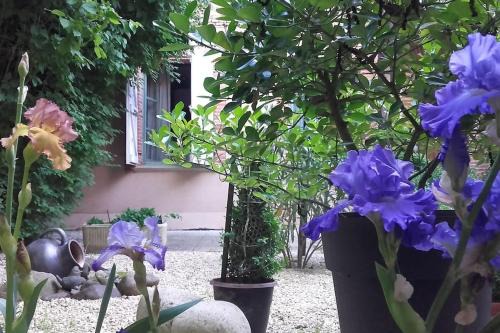Beaumont-de-Lomagne Apartamento | Le Despeyrous gite en ville