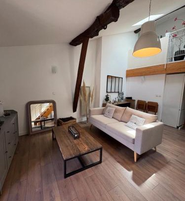 Montauban Apartamento | "Le Dix", emplacement exceptionnel, parking inclus