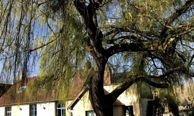 Aunou-sur-Orne Casa | Le Domaine de la Cour