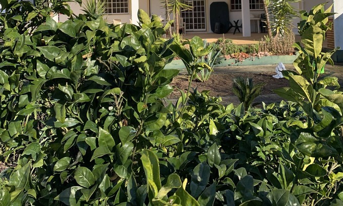 Camparca Casa | Le Domaine de Lorangeraie