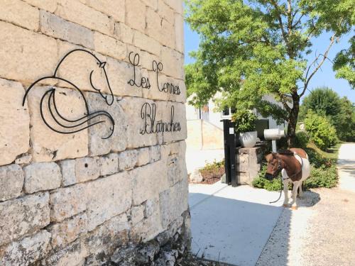 Le Boulve Casa | Le Domaine des Terres Blanches