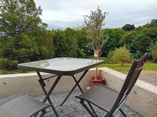 Brive-la-Gaillarde Apartamento | Le Forestier - 1 Pièce