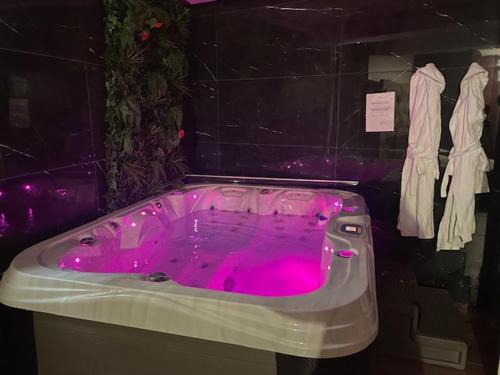 Metz-Centre – Ancienne Ville Apartamento | Le Fuchsia Spa Unenuitametz