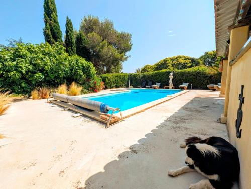 Istres Apartamento | Le Gîte d'Entressen studio Piscine Jeux & Pétanque Istres Miramas