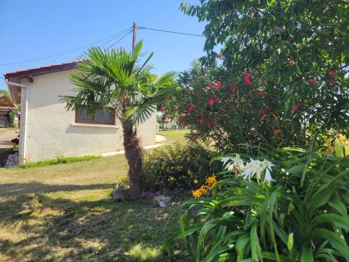 Saint-Arroumex Casa | Le gite de Gayssanes