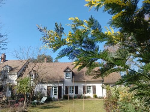 Thesee Casa | LE JARDIN DE LA PICHONNERIE Chambres d'hôtes