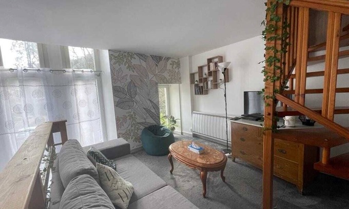 Saint-Nectaire Apartamento | Le Léo Nid - Appartement Atypique
