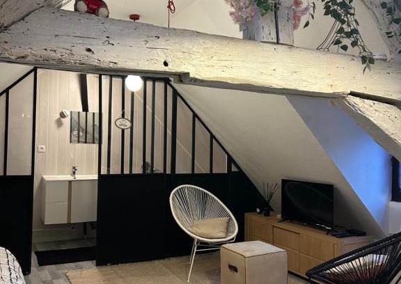 Besancon Old Town Apartamento | LE LOFT DU DOUBS