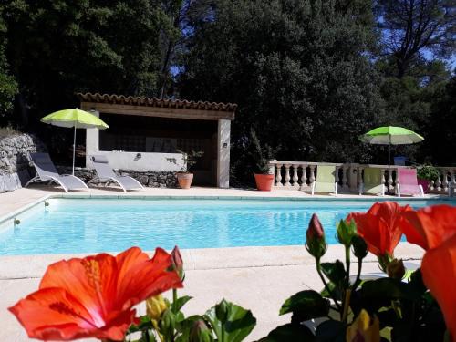 Trans-en-Provence Cama Y Desayuno | Le Mas des Hibiscus