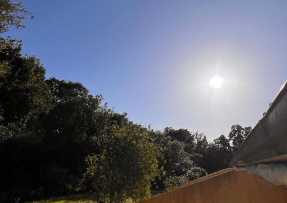Punta Ala Apartamento | Le Mimose