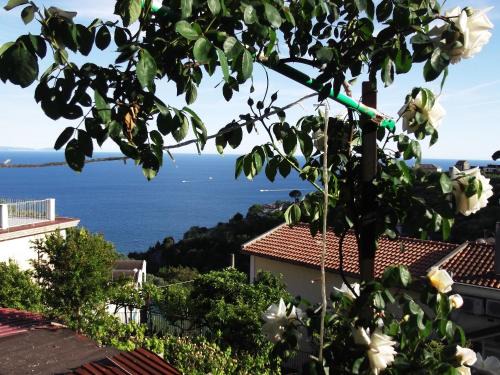 Benincasa Casa | Le Mimose