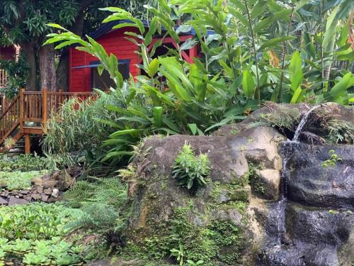 Deshaies Casa | Le MORNE Aux F0US Cabanes & Jardin Tropical