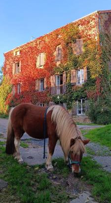 Nochize Cama Y Desayuno | Le moulin de vaux