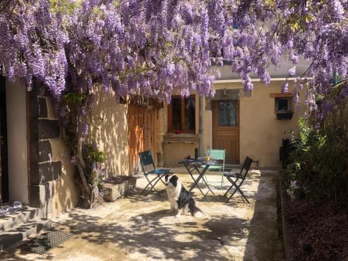 Vertaizon Casa | Le neuf