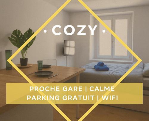 Saint-Die Apartamento | Le Nid Cozy à 2 Pas de la Gare St-Dié - Wifi - Calme