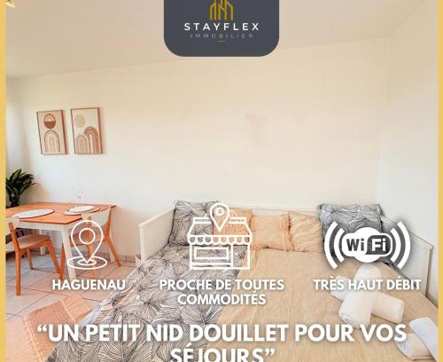 Haguenau Apartamento | Le Nid Douillet - Parking Included - Haguenau