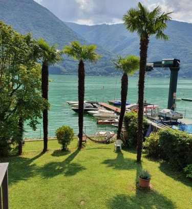 Cima Casa | Le palme Antonella