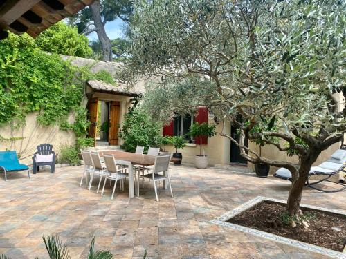 Cadereau Casa | Le patio de Montaury
