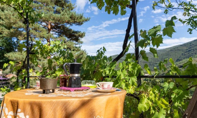 Premian Cama Y Desayuno | Le Petit Paradis