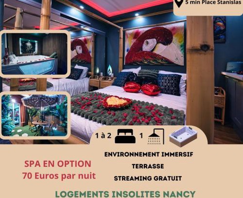 Saint Nicolas - Charles III - Ville vieille - Trois Maisons - Leopold Apartamento | Le Petit Sensual Bali Spa Option 300m Place Stanislas