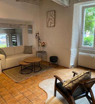Belfort Apartamento | Le refuge du lion