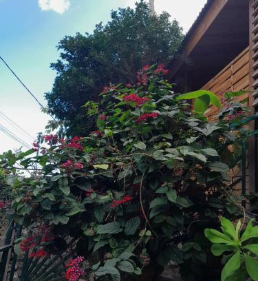 Saint-Leu Apartamento | Le Refuge