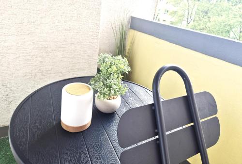 Schiltigheim Apartamento | Le repos Alsacien