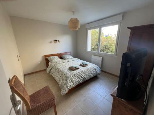 Langueux Apartamento | Le Safran - Appartement chaleureux
