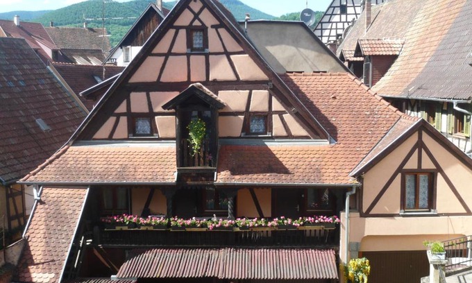 Kaysersberg-Vignoble Apartamento | le Seigle, la cour des Meuniers