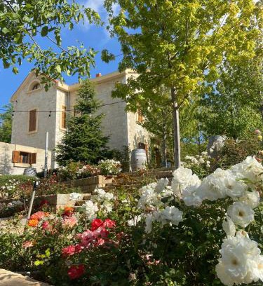 Bhamdoun Cama Y Desayuno | Le Télégraphe de Belle-Vue