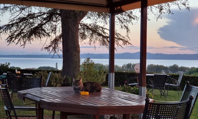 Bolsena Casa | Le vigne