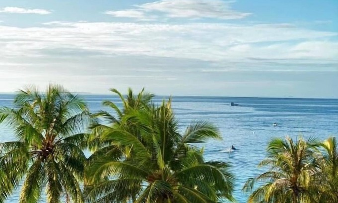 Maafushi Hotel | Lea Spa Hotel