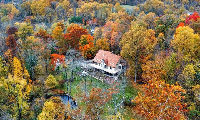 Phoenixville Otro | Leaf Peeping at Merlin Creek in Kimberton