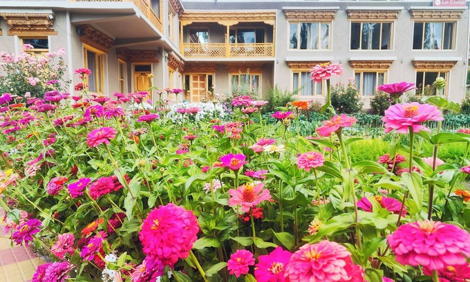 Leh Hotel | Leh Stumpa