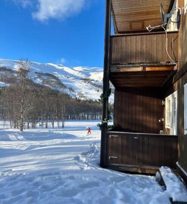 Randsverk Apartamento | Leilighet med fin uteplass!