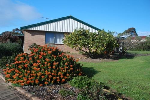Brownlow Ki Apartamento | Lemontree Cottage